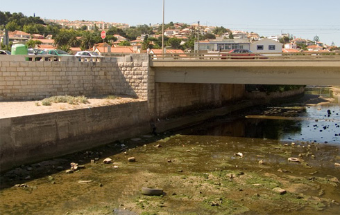 สาระน่ารู้ 