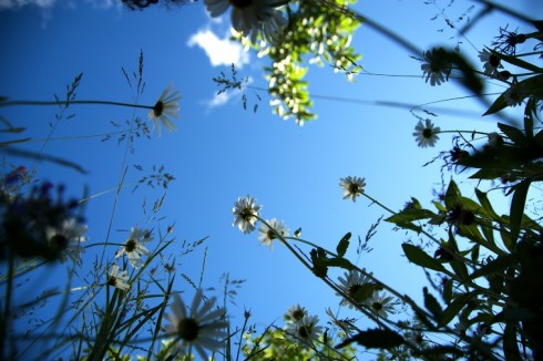 สาระน่ารู้ 