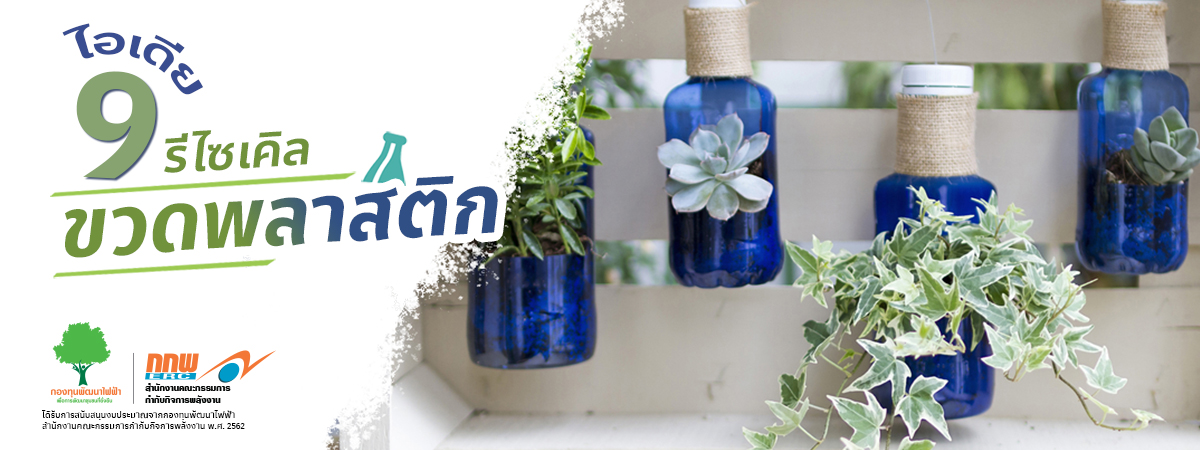 สาระน่ารู้ 