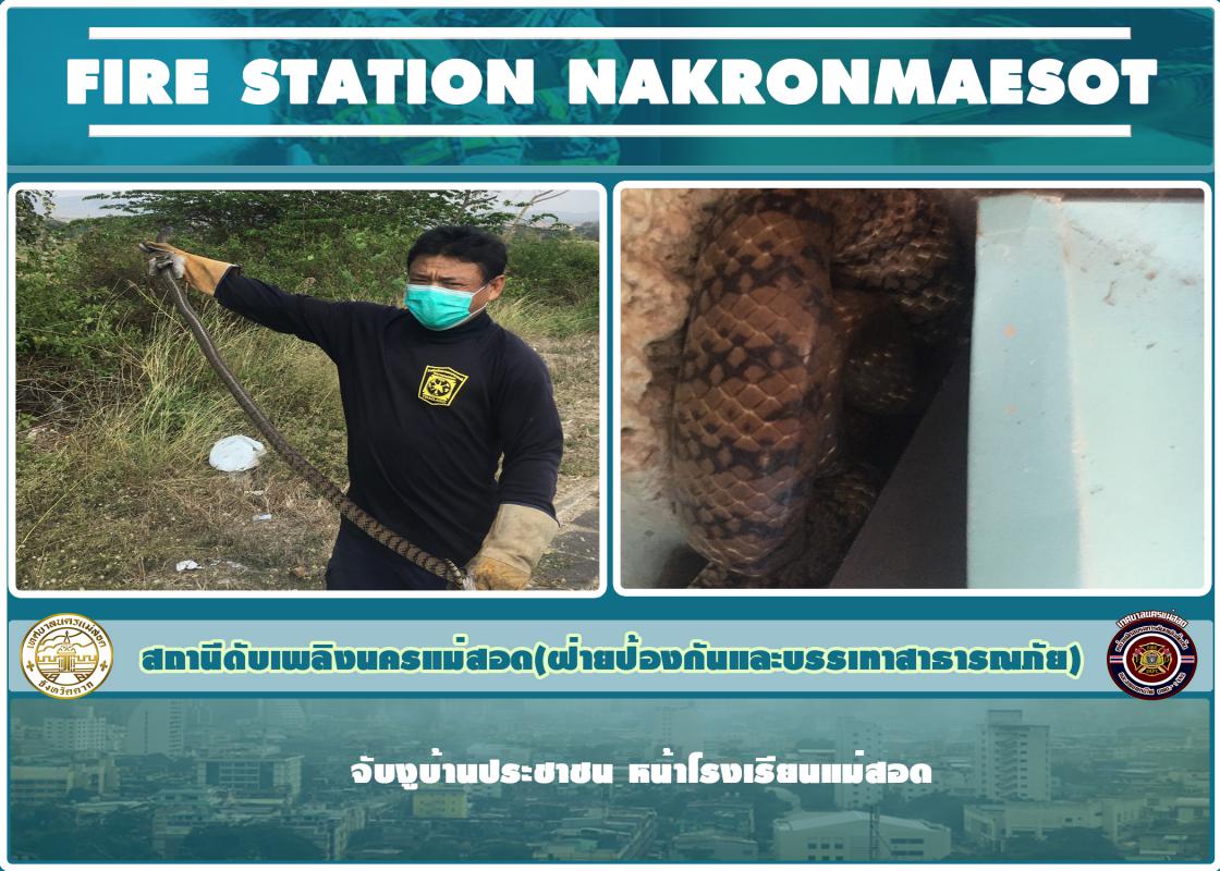 ข่าวดับเพลิงนครเเม่สอด