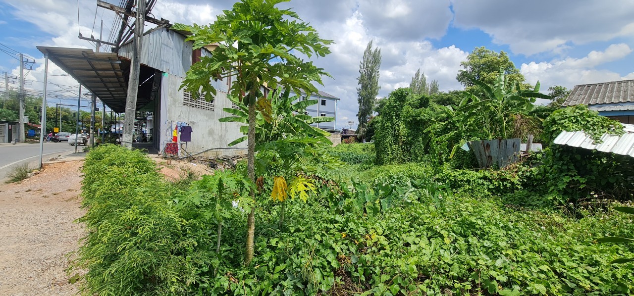 ข่าวสารกองสวัสดิการสังคม