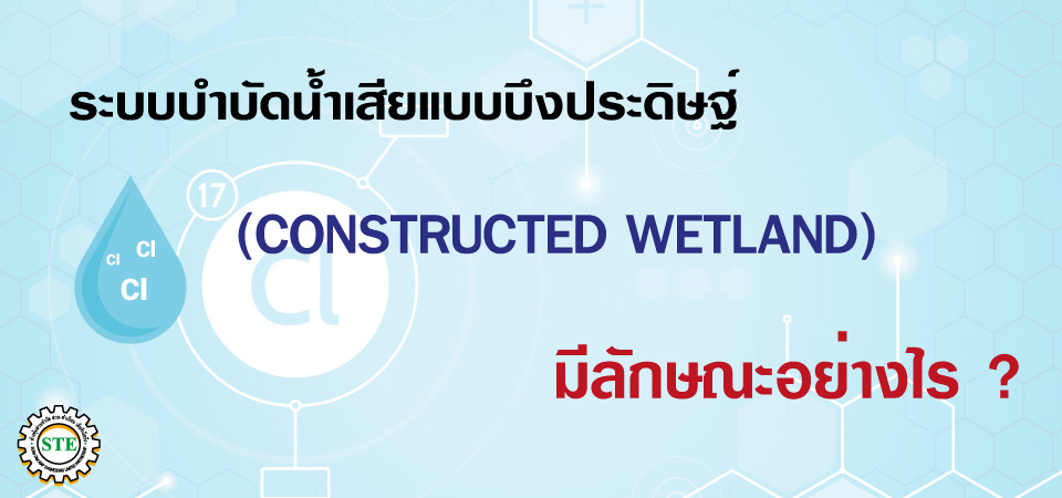 สาระน่ารู้ 