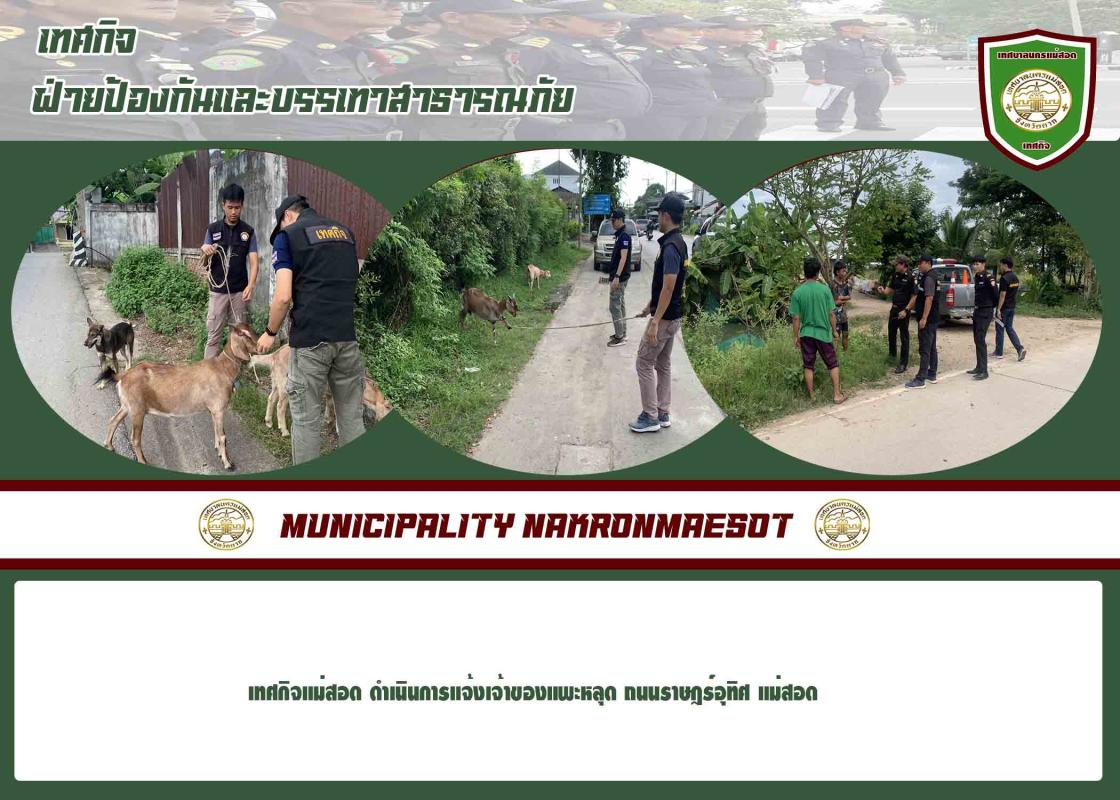 ข่าวงานเทศกิจ