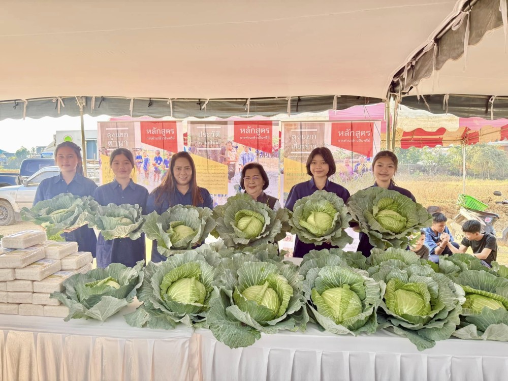 ผักปลอดสาร