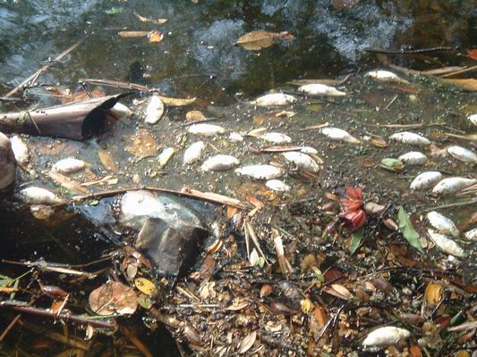 สาระน่ารู้ 