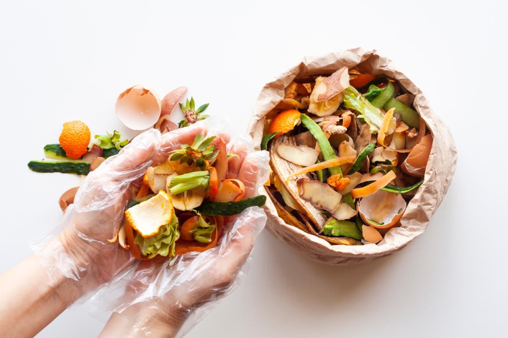 สาระน่ารู้ 