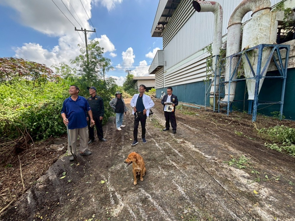 - กิจกรรมงานบำรุงรักษาและซ่อมแซม