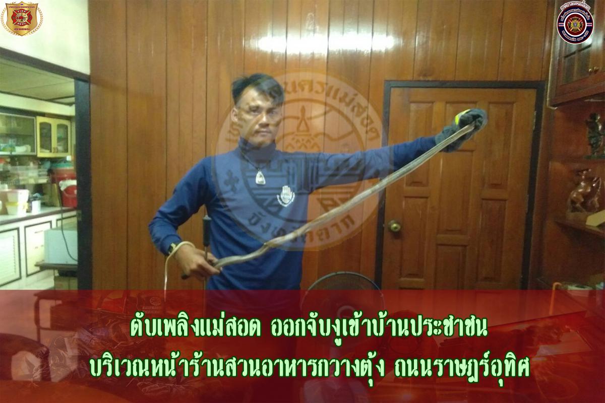 ข่าวดับเพลิงนครเเม่สอด
