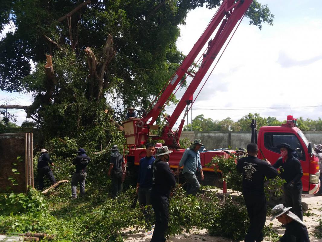 ข่าวกิจกรรม