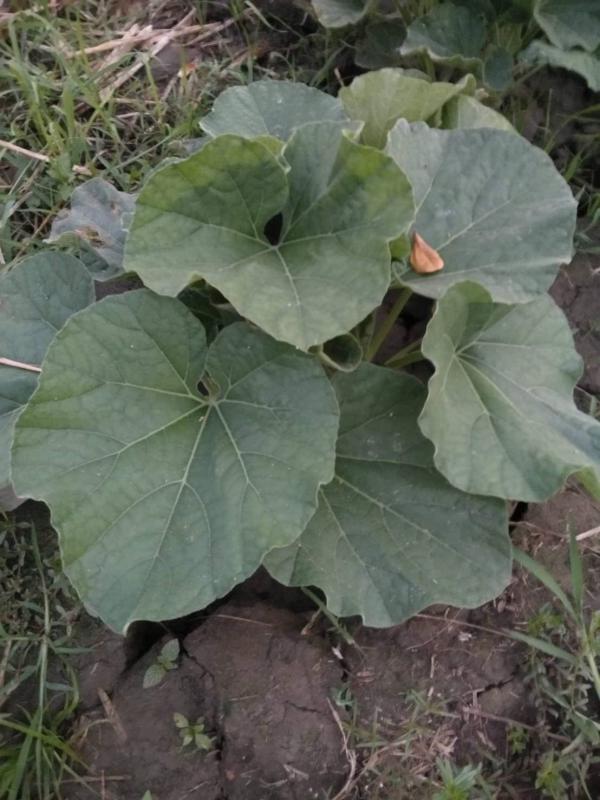 ข่าวประชาสัมพันธ์กองการศึกษา