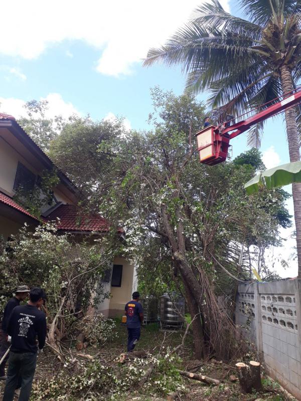 ข่าวกิจกรรม