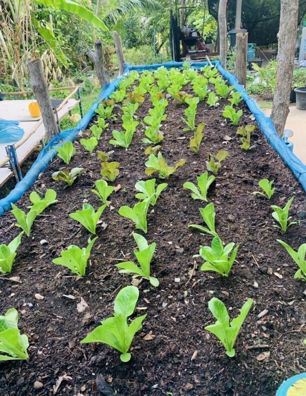 ข่าวกิจกรรม