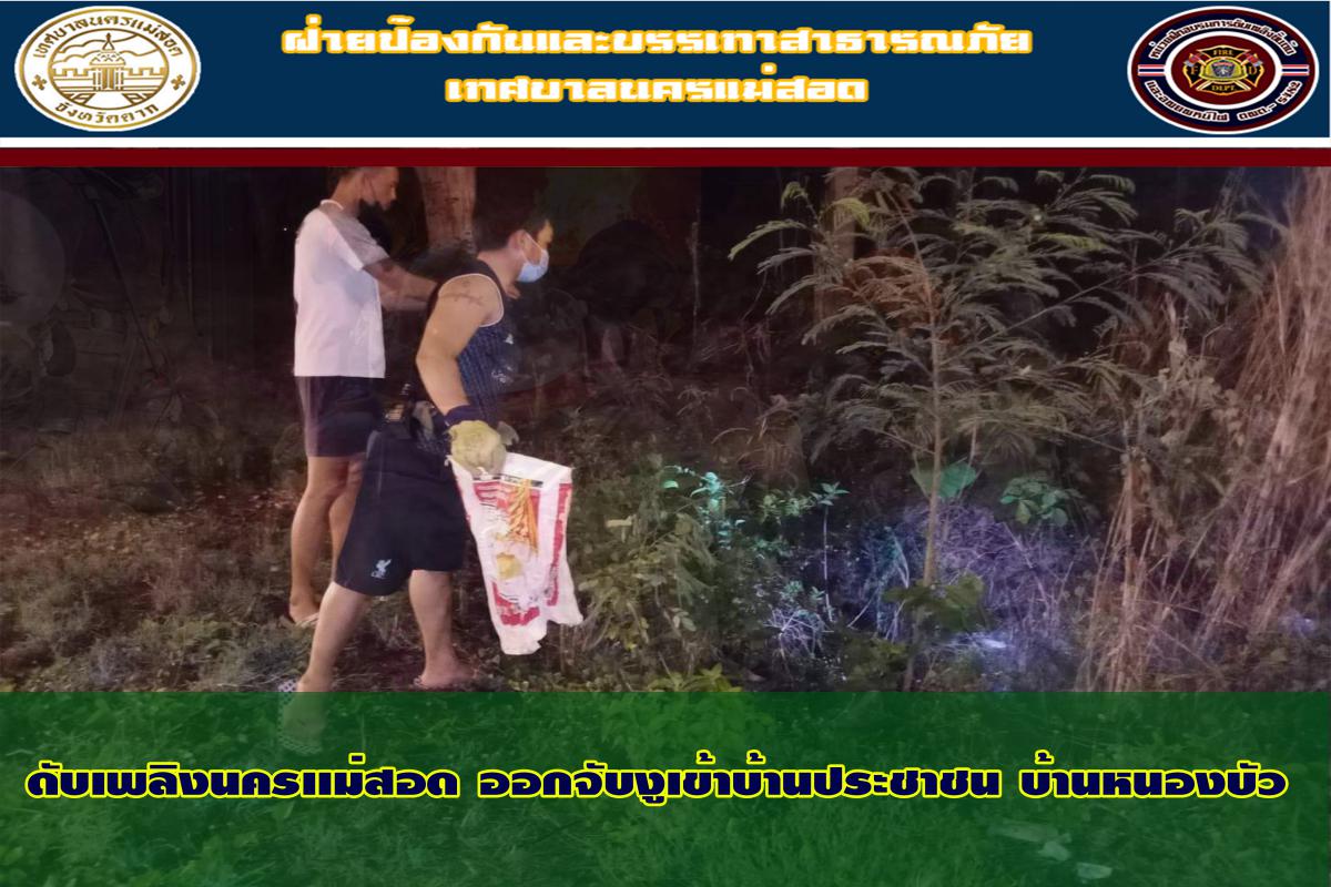 ข่าวดับเพลิงนครเเม่สอด