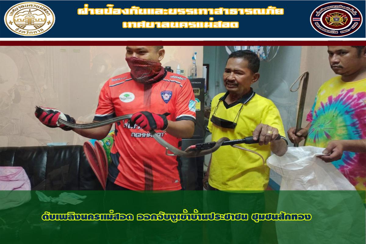 ข่าวดับเพลิงนครเเม่สอด