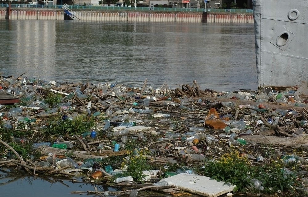 สาระน่ารู้ 