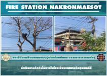 ดับเพลิงนครแม่สอด ออกดำเนินการตัดต้นไม้แห้งภายในโรงเรียนเทศบาลวัดชุมพลคีรี