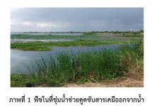 การบำบัดน้ำเสีย