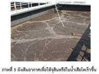 การบำบัดน้ำเสีย