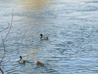 แนวทางลดมลภาวะทางน้ำ ด้วยตัวเรา