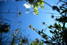 แนวทางลดมลภาวะทางอากาศ ด้วยตัวเรา