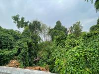 ลงพื้นที่สำรวจข้อมูลชุมชน เพื่อปรับปรุงข้อมูลชุมชนให้เป็นปัจจุบัน และนำไปพัฒนาชุมชนต่อไป