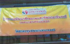 โครงการพัฒนาศักยภาพสตรีและพัฒนาอาชีพสตรี เทศบาลนครแม่สอด หลักสูตร ผ้ากันเปื้อน