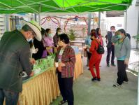 โครงการฝึกอาชีพให้ความรู้ชุมชนในเขตเทศบาลนครแม่สอดระยะยาว ประจำปีงบประมาณ 2564 หลักสูตรที่ 1 ดอกไม้ประดิษฐ์จากริบบิ้นผ้า