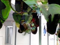 โครงการฝึกอาชีพให้ความรู้ชุมชนในเขตเทศบาลนครแม่สอดระยะยาว ประจำปีงบประมาณ 2564 หลักสูตรที่ 1 ดอกไม้ประดิษฐ์จากริบบิ้นผ้า