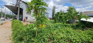 ลงพื้นที่สำรวจข้อมูลชุมชนดอนไชย เพื่อปรับปรุงข้อมูลชุมชนให้เป็นปัจจุบัน และเพื่อนำไปพัฒนาชุมชนต่อไป