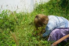 กิจกรรมวันต้นไม้ประจำปีของชาติ พ.ศ. 2565 ของกองการศึกษา