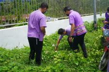 กิจกรรมวันต้นไม้ประจำปีของชาติ พ.ศ. 2565 ของกองการศึกษา