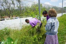 กิจกรรมวันต้นไม้ประจำปีของชาติ พ.ศ. 2565 ของกองการศึกษา