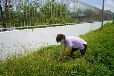 กิจกรรมวันต้นไม้ประจำปีของชาติ พ.ศ. 2565 ของกองการศึกษา