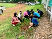 กองสวัสดิการสังคมร่วมกิจกรรมันรักต้นไม้ประจำปีของชาติ พ.ศ.2565 ตามโครงการปลูกต้นไม้และปลูกป่าเฉลิมพระเกียรติ เนื่องในโอกาสมหามงคลพระราชพิธีบรมราชาภิเษก ภายใต้ชื่อ “รวมใจไทย ปลูกต้นไม้ เพื่อแผ่นดิน”สืบสาน 100 ล้านต้น