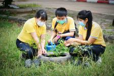 โรงเรียนเทศบาลเฉลิมพระเกียรติสมเด็จพระเทพรัตนราชสุดา ฯ สยามบรมราชกุมารี จัดกิจกรรมวันรักต้นไม้ประจำปีของชาติ พ.ศ.2565