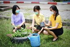 โรงเรียนเทศบาลเฉลิมพระเกียรติสมเด็จพระเทพรัตนราชสุดา ฯ สยามบรมราชกุมารี จัดกิจกรรมวันรักต้นไม้ประจำปีของชาติ พ.ศ.2565
