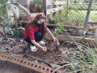 ศูนย์พัฒนาเด็กเล็กในสังกัดเทศบาลนครแม่สอดจัดกิจกรรมวันรักต้นไม้ประจำปีของชาติ พ.ศ.2565