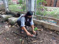 ศูนย์พัฒนาเด็กเล็กในสังกัดเทศบาลนครแม่สอดจัดกิจกรรมวันรักต้นไม้ประจำปีของชาติ พ.ศ.2565