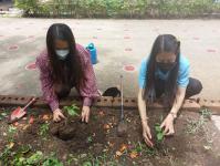 ศูนย์พัฒนาเด็กเล็กในสังกัดเทศบาลนครแม่สอดจัดกิจกรรมวันรักต้นไม้ประจำปีของชาติ พ.ศ.2565