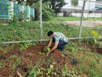 กองยุทธศาสตร์และงบประมาณ เข้าร่วมกิจกรรมวันต้นไม้ประจำปีของชาติ พ.ศ.2565