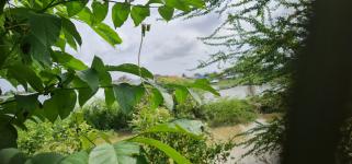 งานพัฒนาชุมชน ลงพื้นที่สำรวจข้อมูลชุมชนประชารักษ์ เพื่อปรับปรุงข้อมูลชุมชนให้เป็นปัจจุบัน และนำไปพัฒนาชุมชนต่อไป