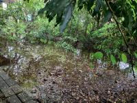 ลงพื้นที่ชุมชนสักทอง เยี่ยมบ้านผู้ประสบปัญหาทางสังคมด้านการครองชีพ เพื่อให้คำแนะนำการเข้าถึงสิทธิสวัสดิการ และเพื่อวางแผนการพิจารณาให้ความช่วยเหลือด้านการพัฒนาคุณภาพชีวิตต่อไป