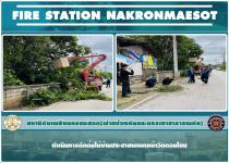 ดับเพลิงนครแม่สอด ออกตัดต้นไม้บ้านประชาชน บริเวณแยกใกล้วัดดอนไชย