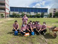 กิจกรรมปลูกต้นไม้