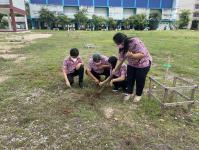 กิจกรรมปลูกต้นไม้