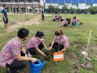 กิจกรรมปลูกต้นไม้