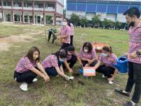 กิจกรรมปลูกต้นไม้