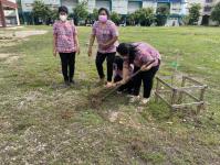 กิจกรรมปลูกต้นไม้