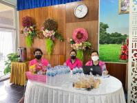 รงเรียนเทศบาลวัดดอนแก้ว อบรมหลักสูตรครูและบุคลากรทางการศึกษา สายงานการสอน 