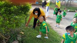 ศูนย์พัฒนาเด็กเล็กโรงเรียนเทศบาลวัดมณีไพรสณฑ์จัดกิจกรรมหนูน้อยจิตอาสาบำเพ็ญสาธารณประโยชน์